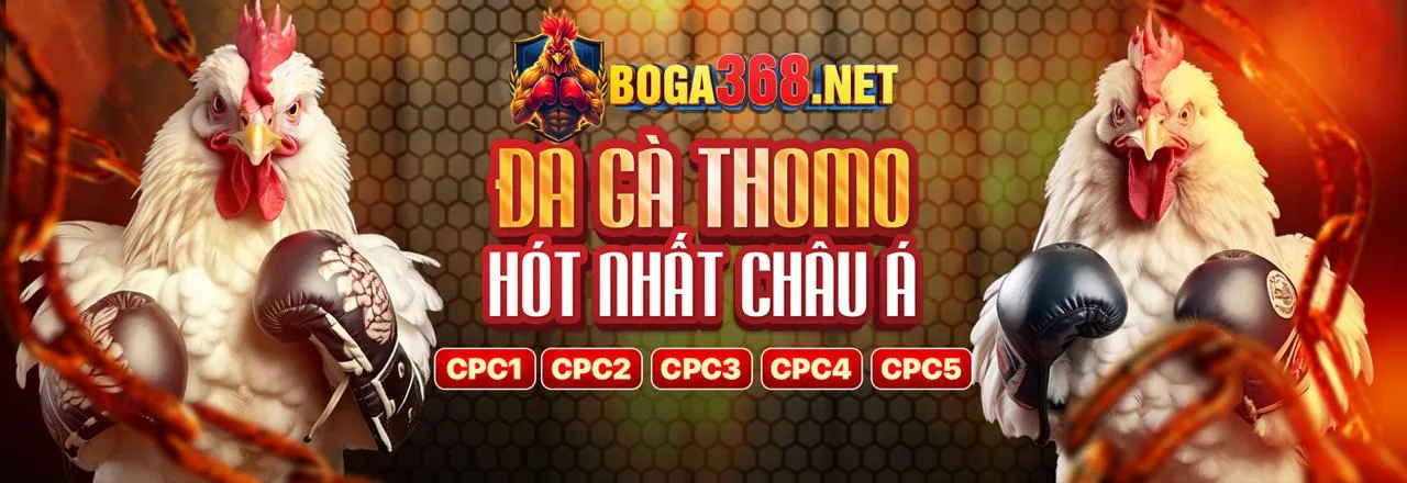 Jackpot lũy tiến ribbet