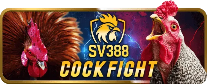 Liên hệ bộ phận hỗ trợ của ribbet trang chủ chính thức