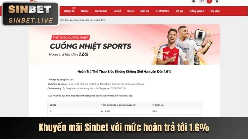 Video slot hiện đại ribbet