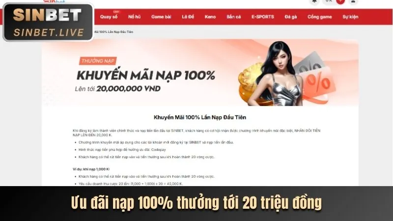 Các chương trình khuyến mãi và tiền thưởng của ribbet